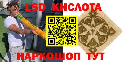 a pvp Будённовск