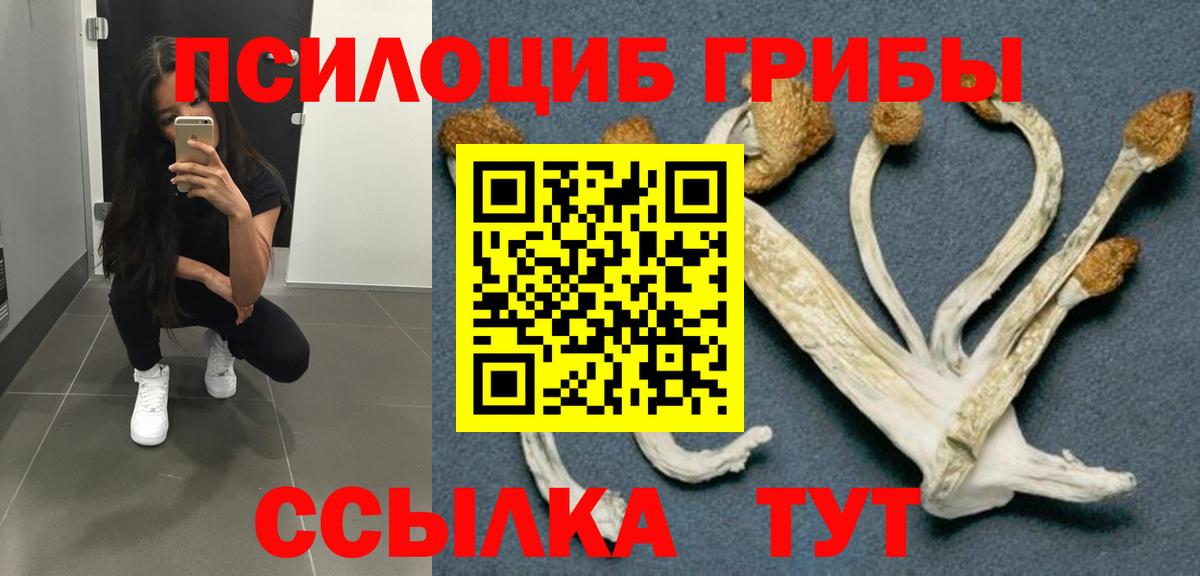 Псилоцибиновые грибы Psilocybine cubensis  Вход с VPN  Псилоцибиновые грибы мицелий  Южноуральск 